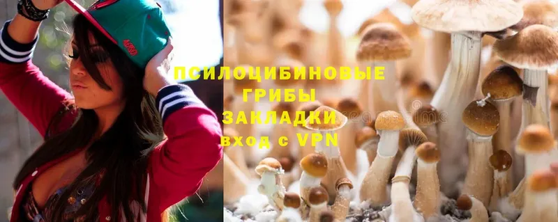 наркошоп  Ершов  Псилоцибиновые грибы Magic Shrooms 